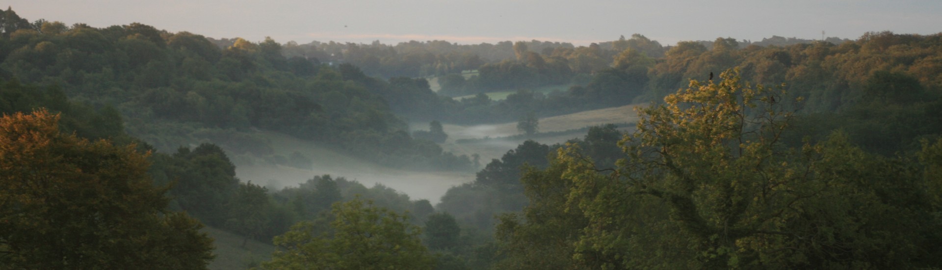 Looking into a misty Happy Valley at Dawn