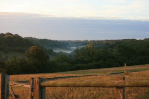 From Farthing Downs Looking into Happy Valley.
