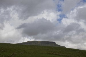 IMG_2562